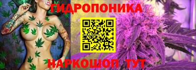амф Будённовск