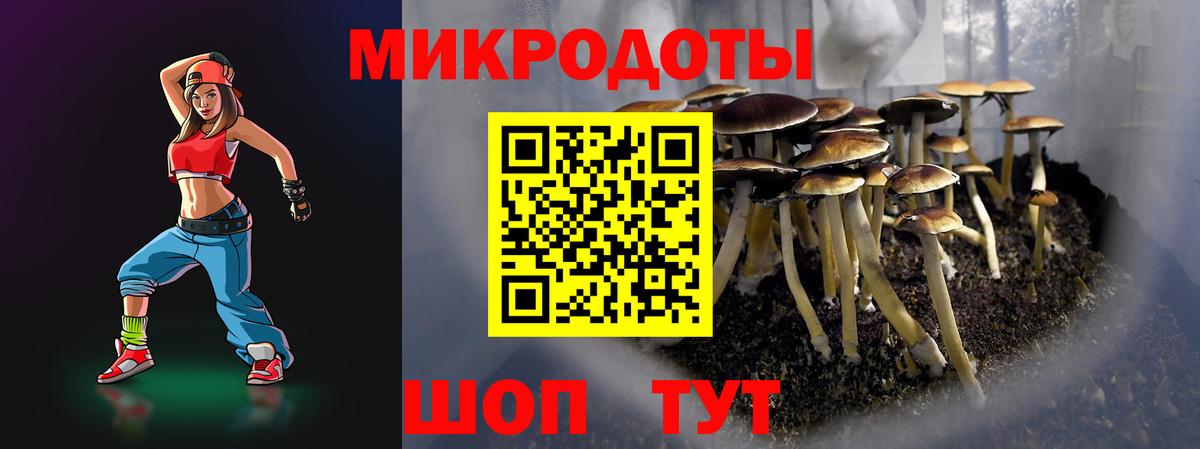Галлюциногенные грибы Psilocybine cubensis Сухой Лог