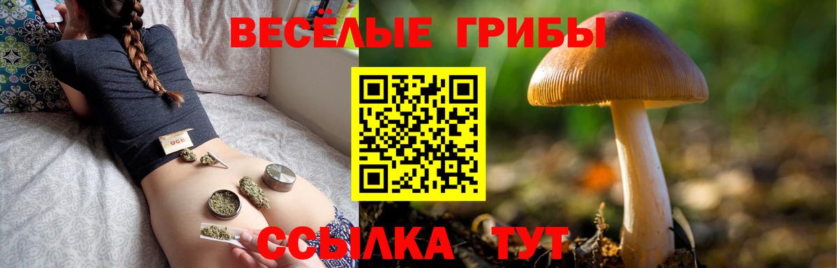 Псилоцибиновые грибы Magic Shrooms  Вход с VPN  Сухой Лог 